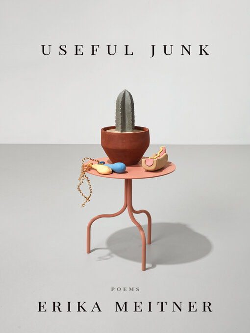 Title details for Useful Junk by Erika Meitner - Available